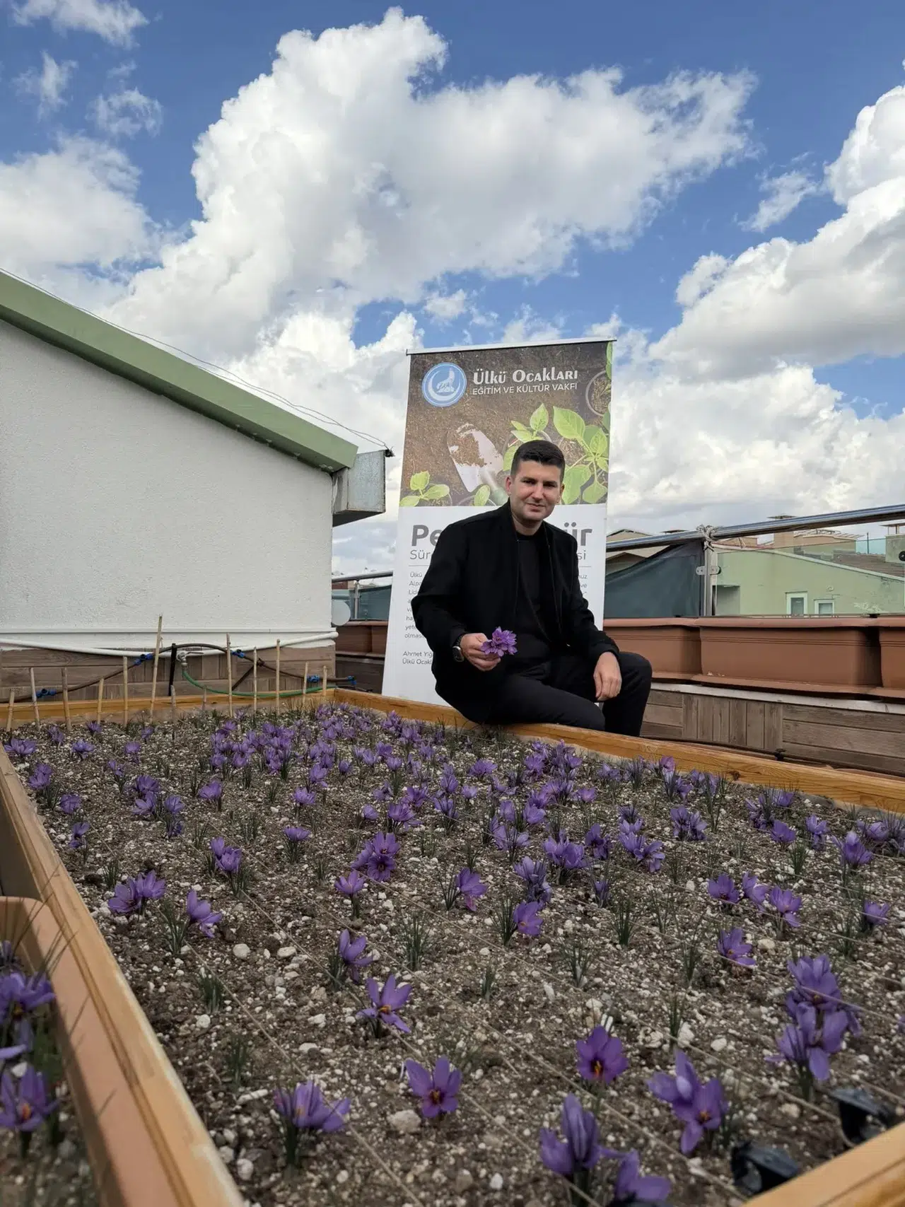 Ülkü Ocakları Genel Merkezi’nin Terasında Safran Hasadı.
