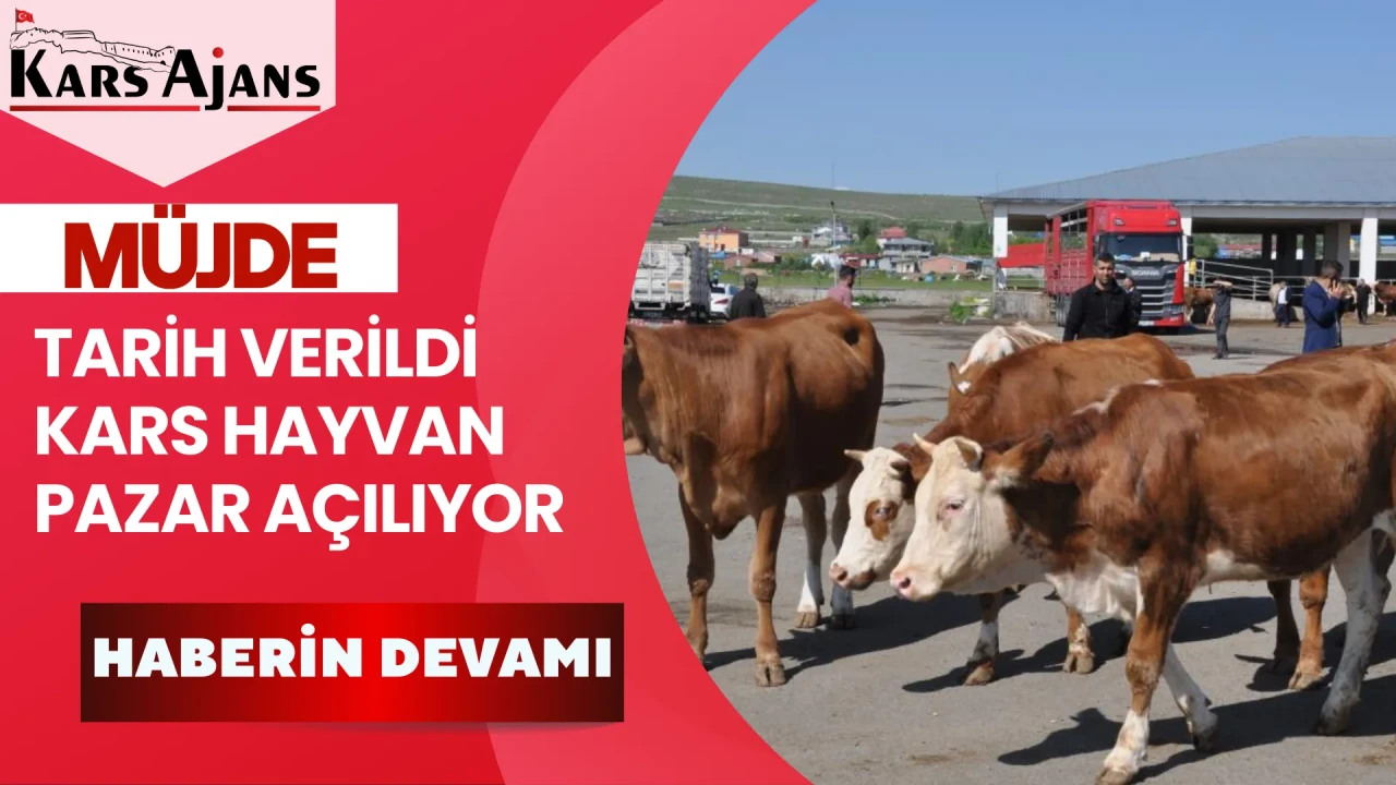 Kars'taki Hayvan Pazarı Yeniden Faaliyete Geçiyor!