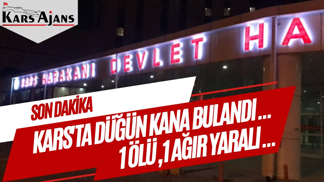 Kağızman'da Düğün önünde bıçaklı kavga: 1 ölü, 1 ağır yaralı