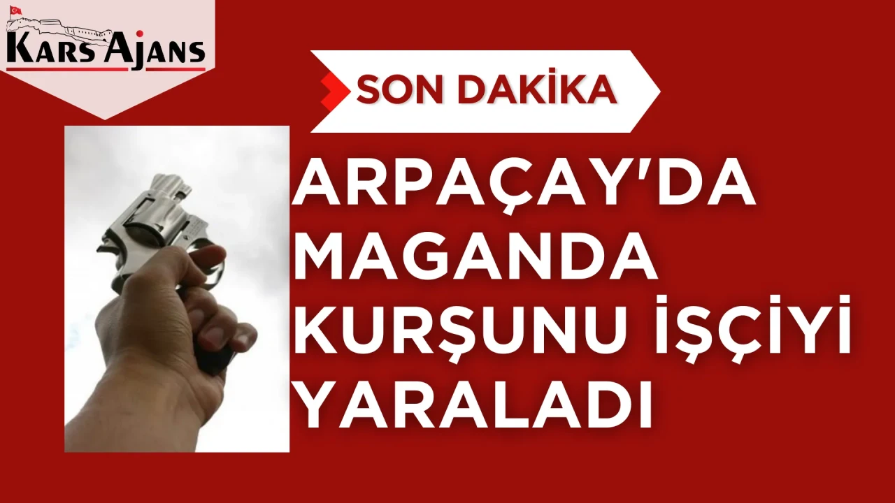 Arpaçay'da silahlı çatışma: Bir Vatandaş yaralandı