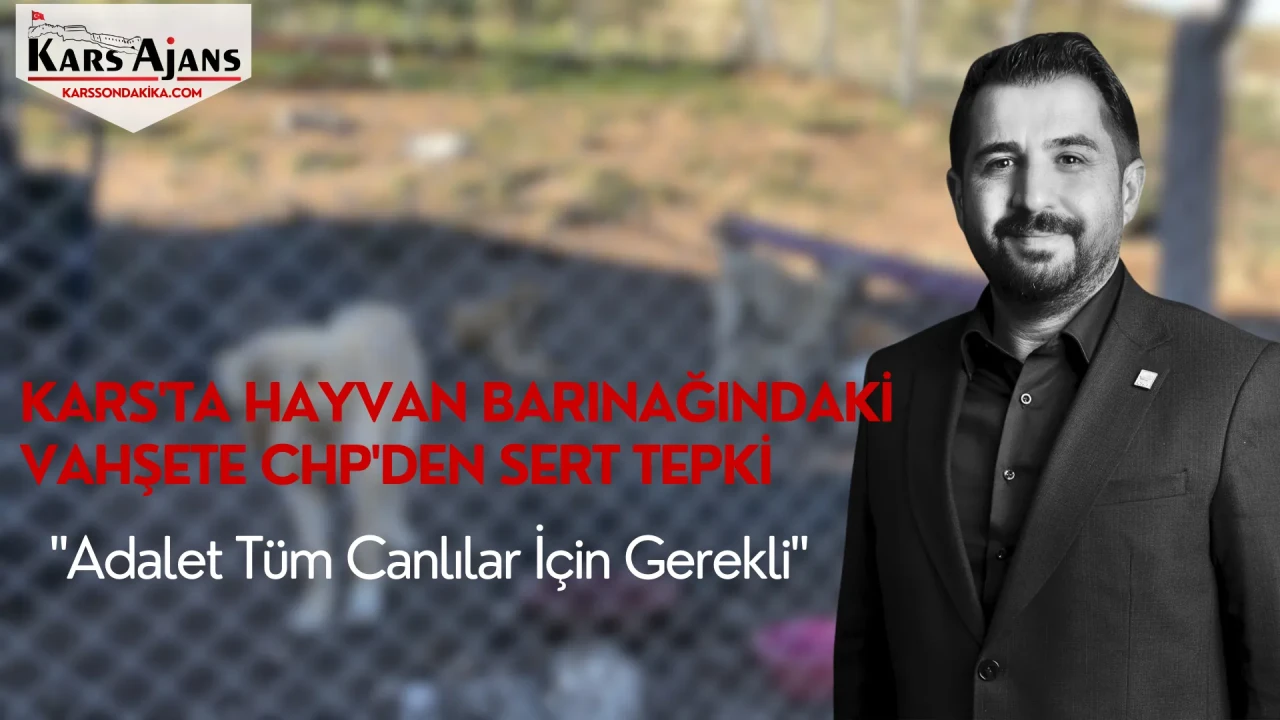 Kars'ta Hayvan Barınağındaki Vahşete CHP'den Sert Tepki: "Adalet Tüm Canlılar İçin Gerekli"