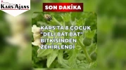 Kars'ta 8 çocuk "deli bat bat" bitkisinden zehirlendi