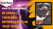 Kars'ta yıldırım düştü: İki çoban yaralandı, 10 büyükbaş hayvan telef oldu!
