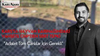 Kars'ta Hayvan Barınağındaki Vahşete CHP'den Sert Tepki: "Adalet Tüm Canlılar İçin Gerekli"