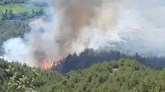 Sinop Gerze'de Orman Yangını Kontrol Altına Alındı: 1400 Metrekare Alan Zarar Gördü
