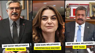 İmralı’ya Gidecek Komisyon Üyeleri Netleşti Kars'tan İsim var