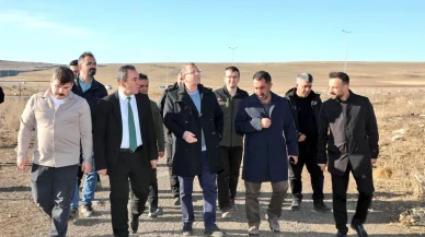 Kars'ta Sokak Hayvanlarına Dokunacak Doğal Yaşam Alanı Geliştiriliyor