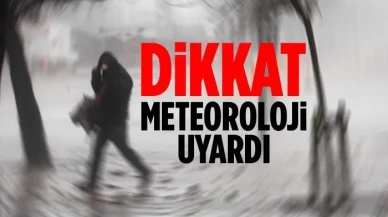 Kars, Iğdır ve Ağrı'da kuvvetli zirai don uyarısı Tarım için tedbir alın
