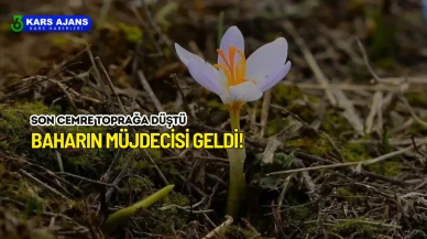 Baharın Habercisi Cemreler Düştü, Doğa Uyanmaya Hazırlanıyor!