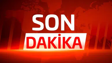 2024'te Türkiye'de Girişimlerin Yüzde 44,4'ü Hizmet Sektöründe Faaliyet Gösterdi