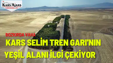 Bozkırda Vaha: Kars Selim Tren Garı'nın Yeşil Alanı İlgi Çekiyor
