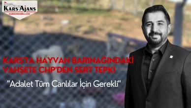 Kars'ta Hayvan Barınağındaki Vahşete CHP'den Sert Tepki: "Adalet Tüm Canlılar İçin Gerekli"