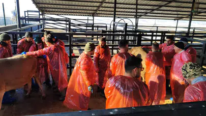 Kars'ta Veteriner Eğitiminde Ulusal İlgiyi Artıran Başarılar!