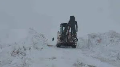 Kars'ta kar yağışı nedeniyle 55 köy yolu ulaşıma kapandı