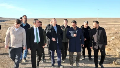 Kars'ta Sokak Hayvanlarına Dokunacak Doğal Yaşam Alanı Geliştiriliyor
