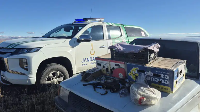 Kars’ta Kaçak Şahin Avına 1,1 Milyon Lira Rekor Ceza