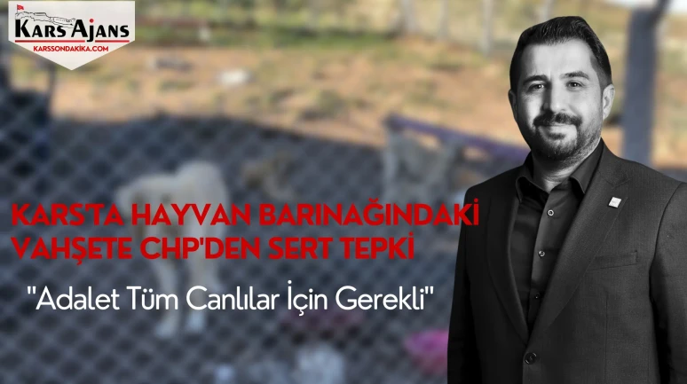 Kars'ta Hayvan Barınağındaki Vahşete CHP'den Sert Tepki: "Adalet Tüm Canlılar İçin Gerekli"