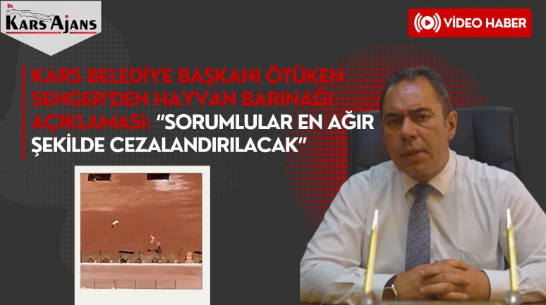 Kars Belediye Başkanı Ötüken Senger’den Hayvan Barınağı Açıklaması: “Sorumlular En Ağır Şekilde Cezalandırılacak”