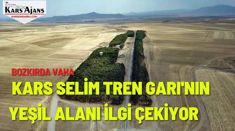 Bozkırda Vaha: Kars Selim Tren Garı'nın Yeşil Alanı İlgi Çekiyor