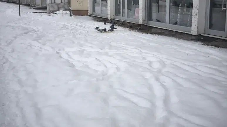 Kars'ta kar kalınlığı 50 cm'yi buldu, ekipler yol açma çalışmalarına hız verdi.