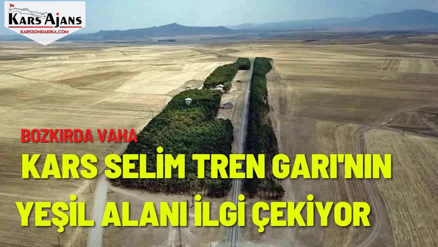 Bozkırda Vaha: Kars Selim Tren Garı'nın Yeşil Alanı İlgi Çekiyor